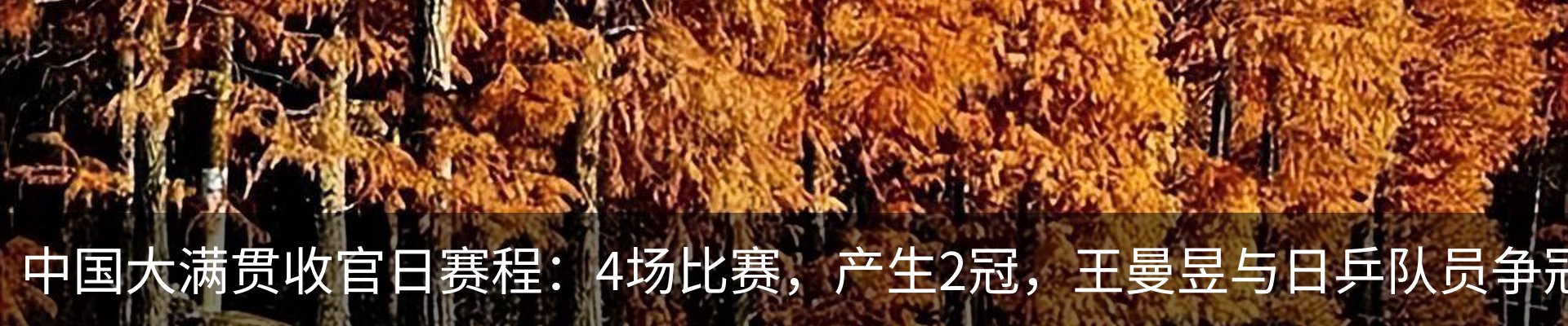 资讯动态
