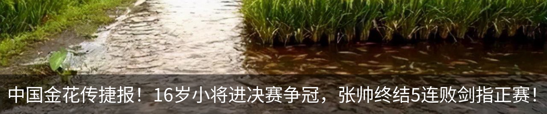 资讯动态