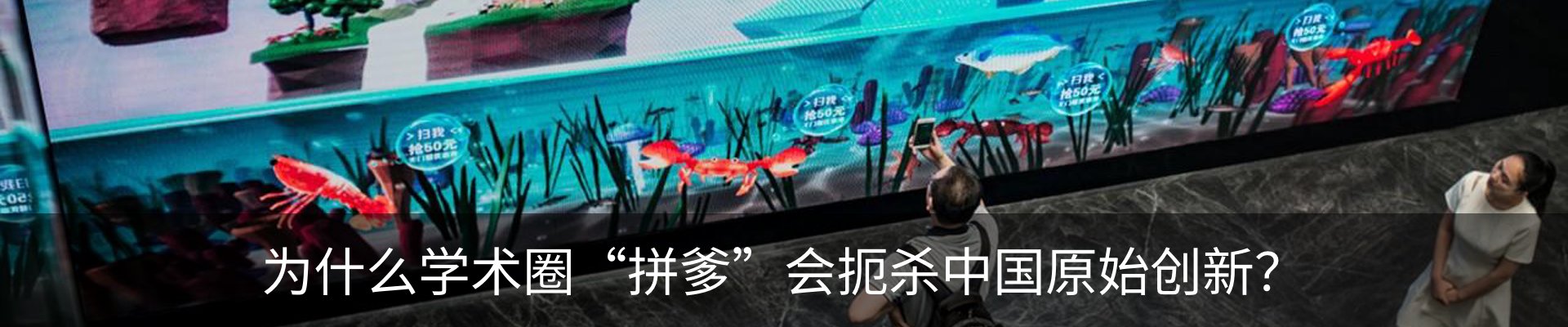 资讯动态