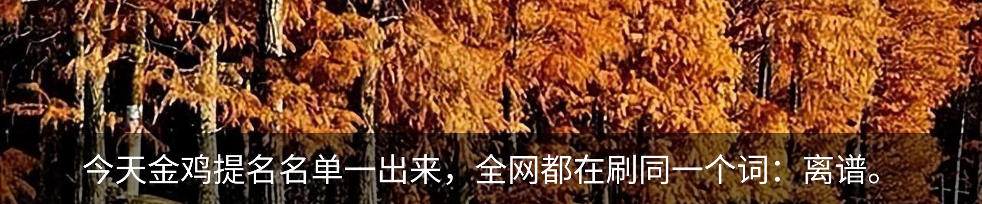 资讯动态