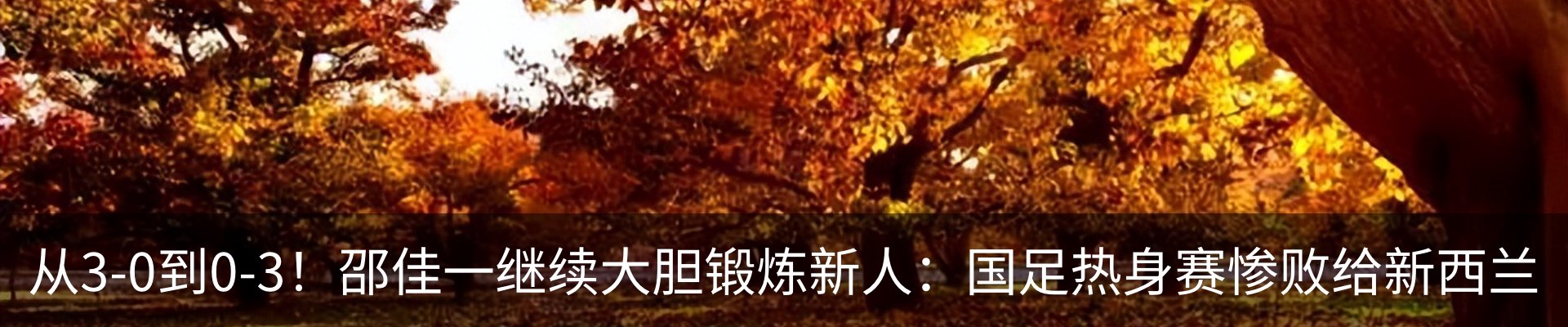 资讯动态