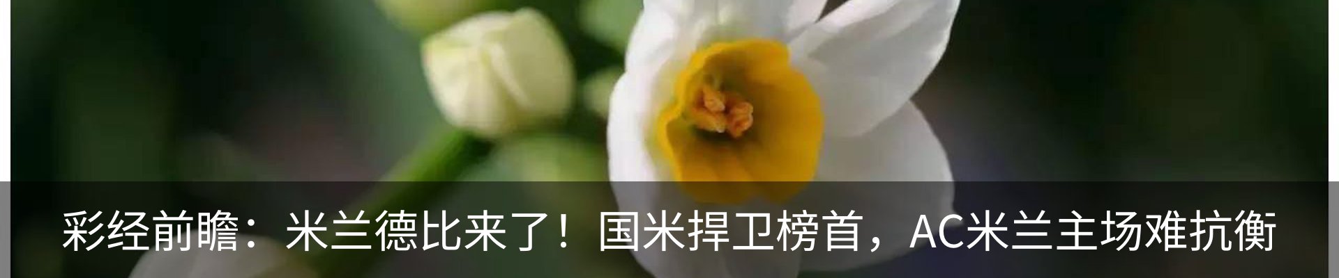 资讯动态