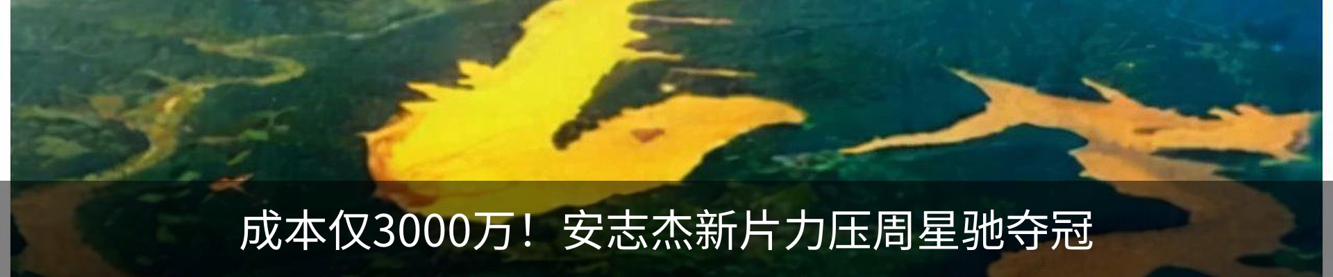 资讯动态