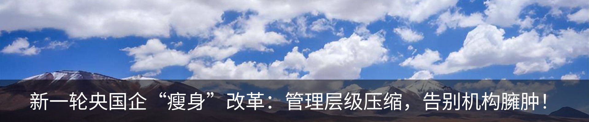 资讯动态