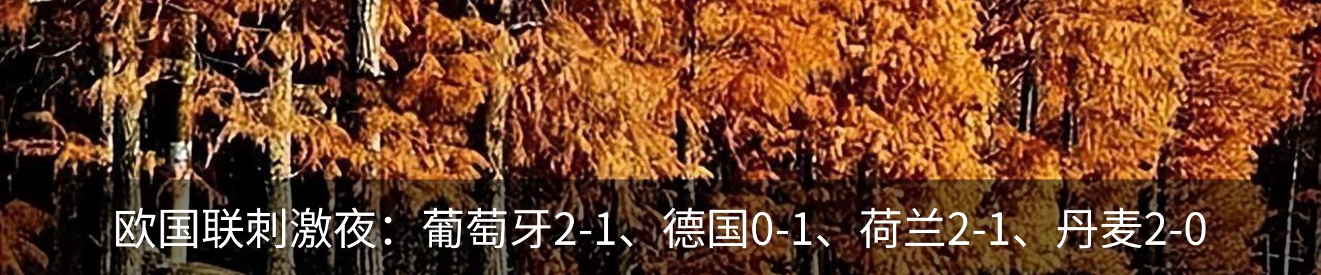资讯动态