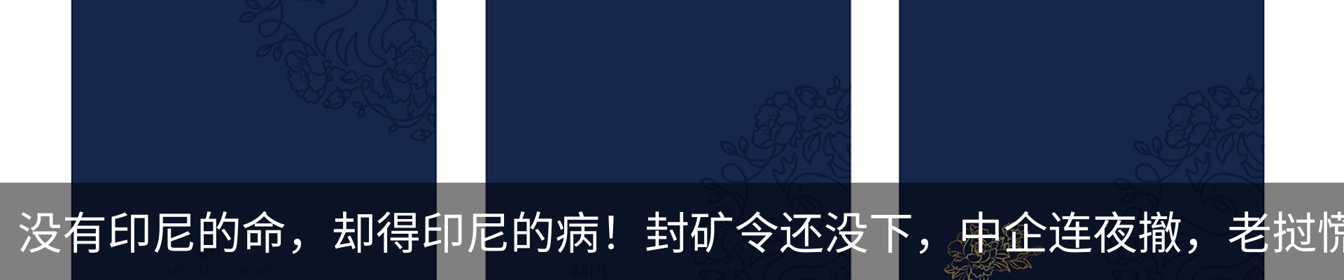 资讯动态