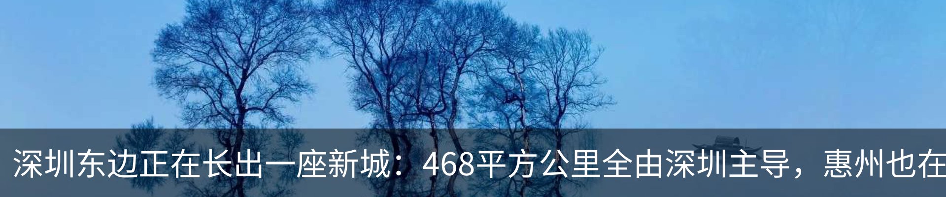 资讯动态