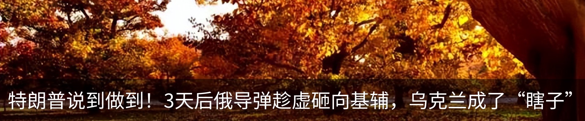 资讯动态