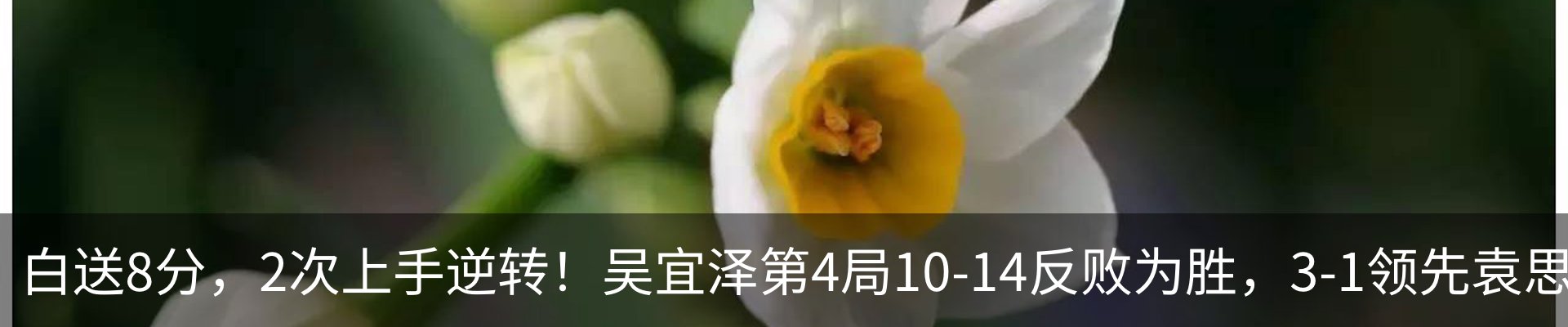 资讯动态