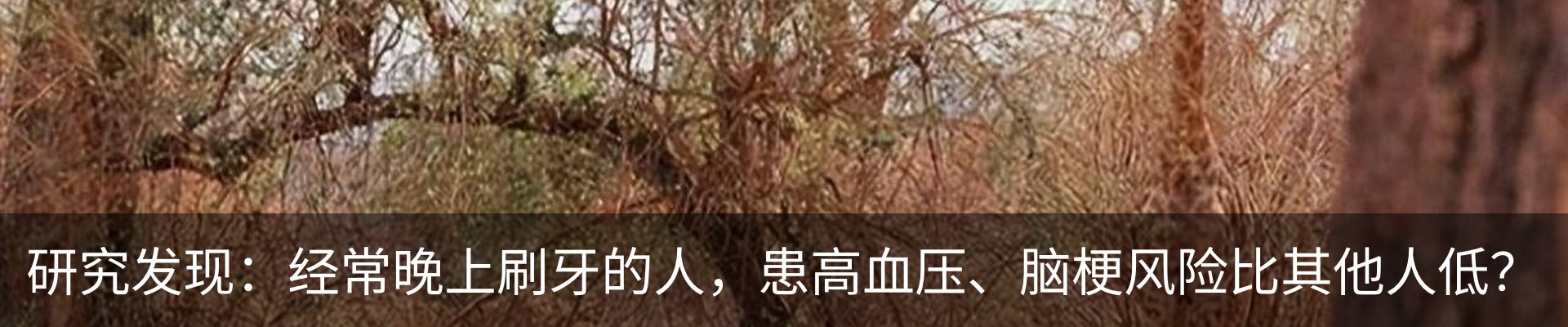 资讯动态