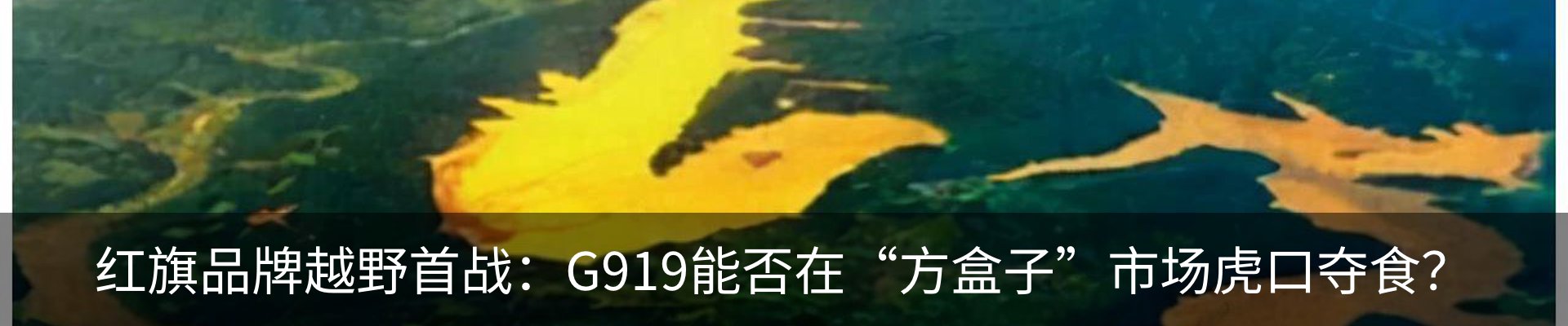 资讯动态