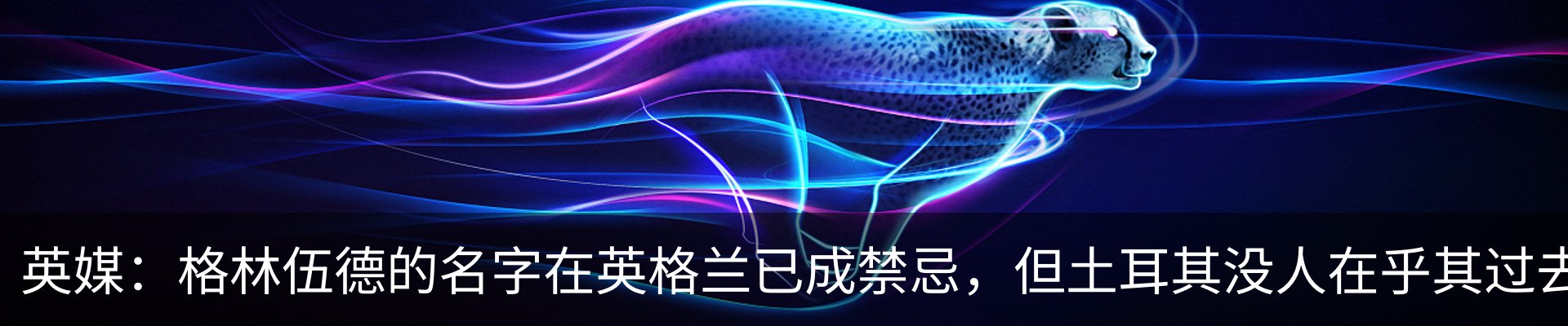 资讯动态