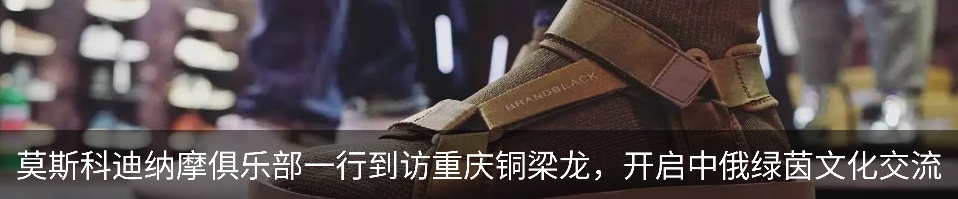 资讯动态
