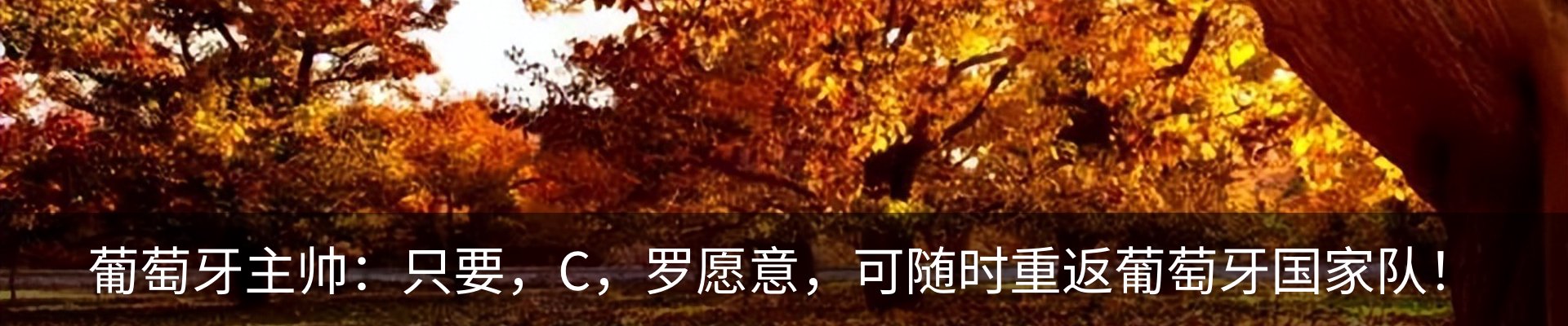 资讯动态