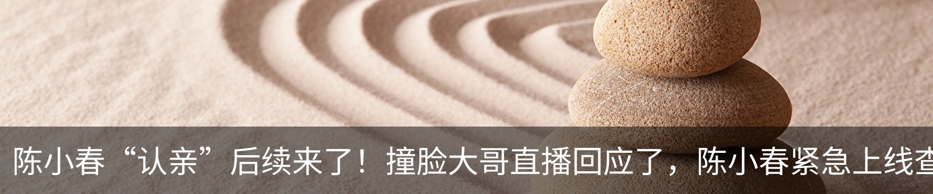 资讯动态