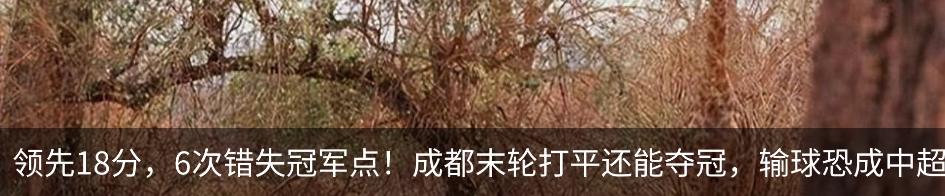 资讯动态