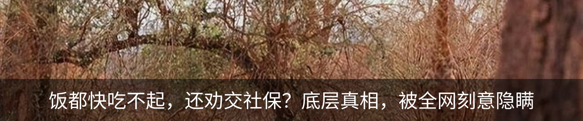 资讯动态