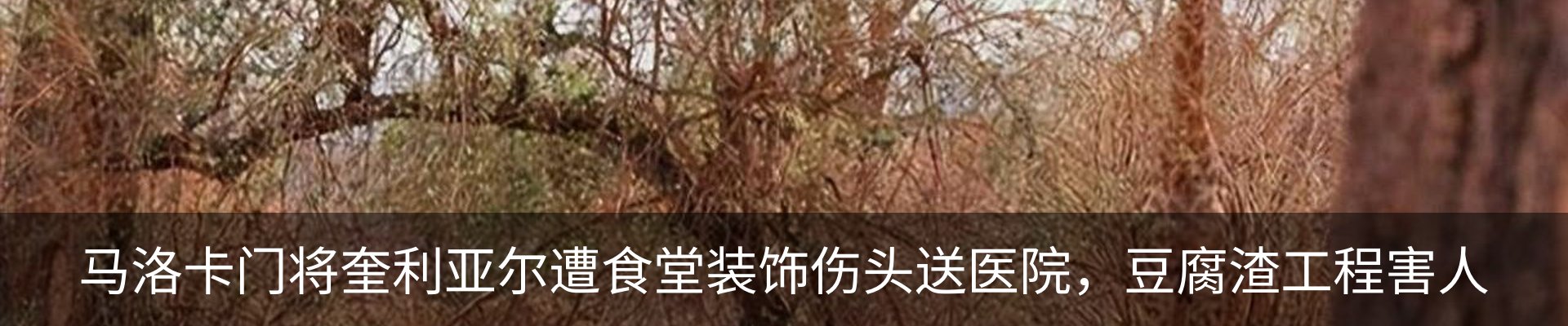 资讯动态
