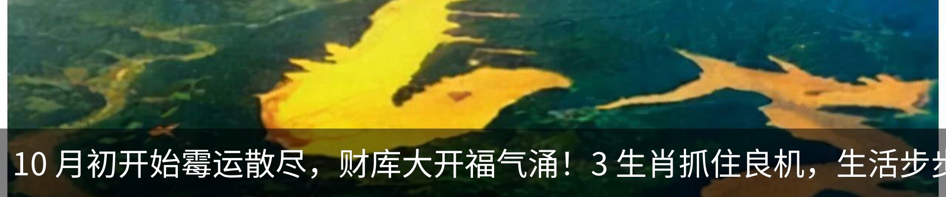 资讯动态