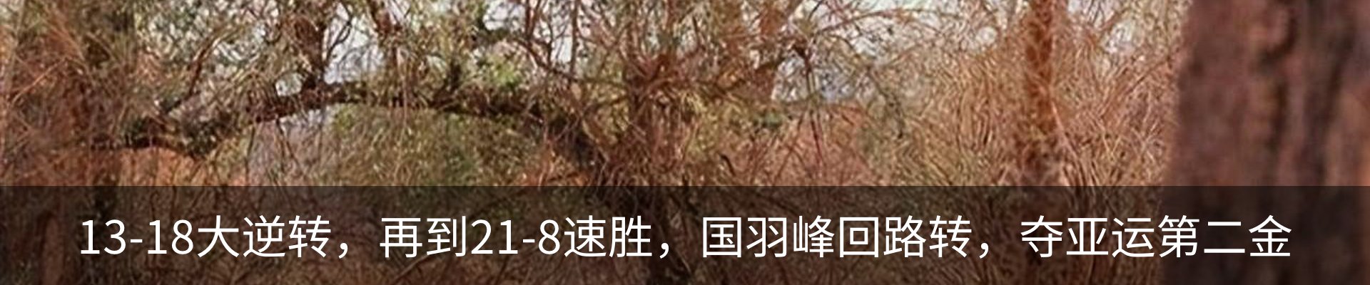 资讯动态