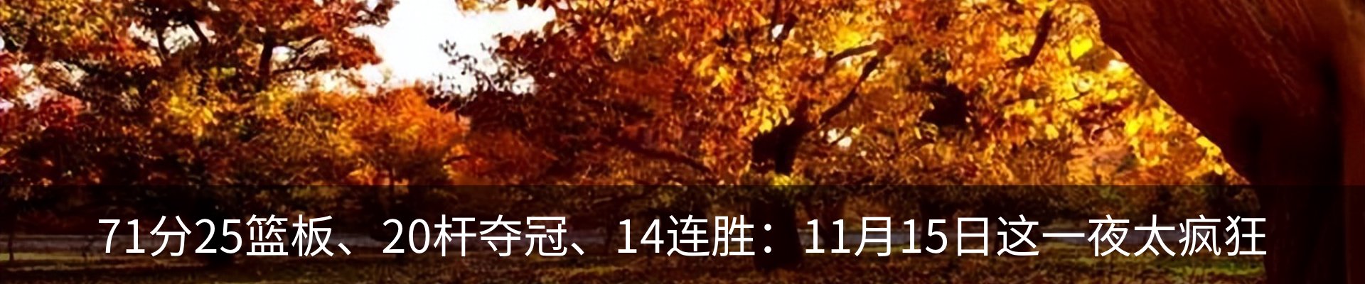 资讯动态